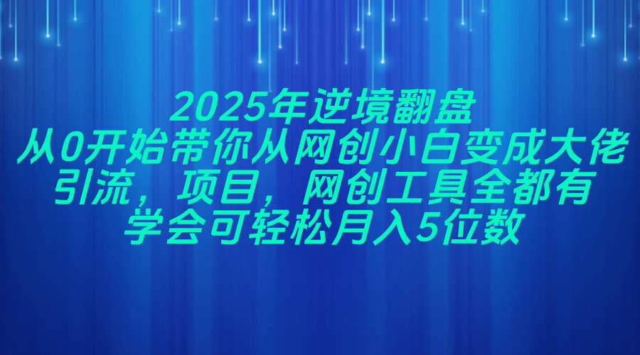 2025年逆境翻盘，从0开始带你从网创小白变成大佬，引流，项目，网创工…-菜菜网创