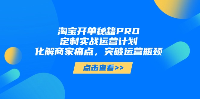 淘宝开单秘籍PRO，定制实战运营计划，化解商家痛点，突破运营瓶颈-菜菜网创