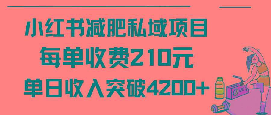 (9466期)小红书减肥私域项目每单收费210元单日成交20单，最高日入4200+-菜菜网创