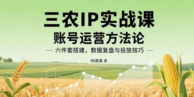 （15864期）三农IP实战课：账号运营方法论，六件套搭建，数据复盘与投放技巧-菜菜网创