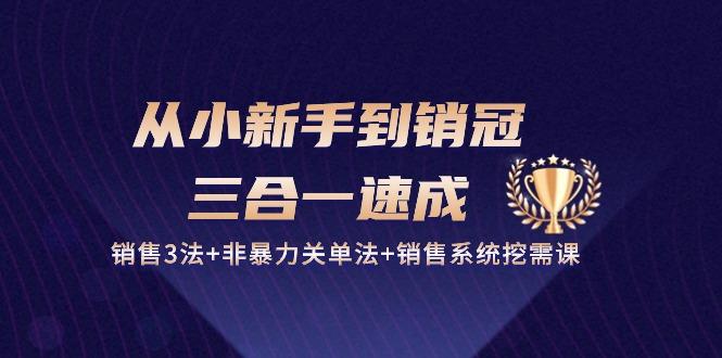 从小新手到销冠 三合一速成：销售3法+非暴力关单法+销售系统挖需课 (27节-菜菜网创