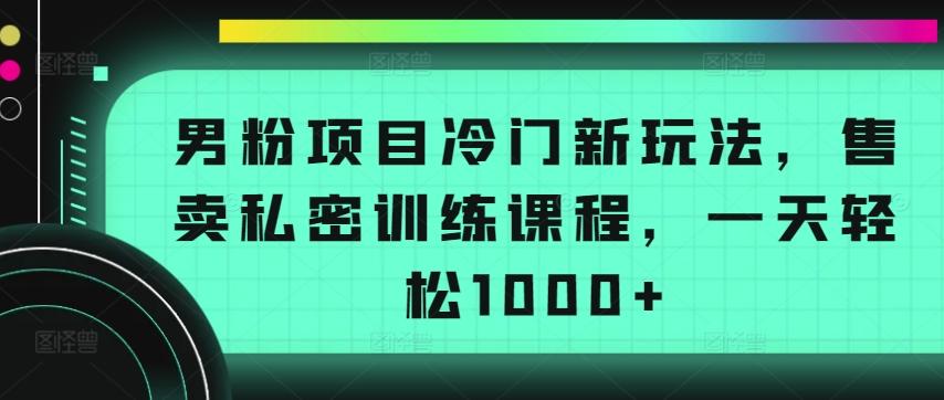 男粉项目冷门新玩法，售卖私密训练课程，一天轻松1000+【揭秘】-菜菜网创