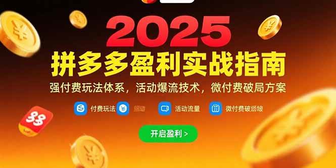 （15357期）拼多多盈利实战指南，强付费玩法，活动爆流技术，微付费破局方案(更新7月)-菜菜网创