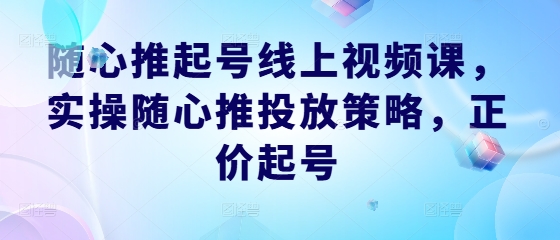 随心推起号线上视频课，实操随心推投放策略，正价起号-菜菜网创
