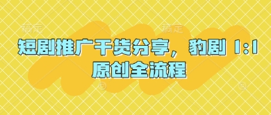 短剧推广干货分享，豹剧 1:1原创全流程-菜菜网创
