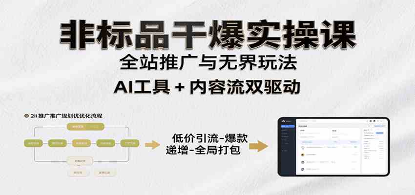 非标品干爆实操课：含多案例及操盘方法，从选品到推广、成交，助力打造爆款实现盈利-菜菜网创