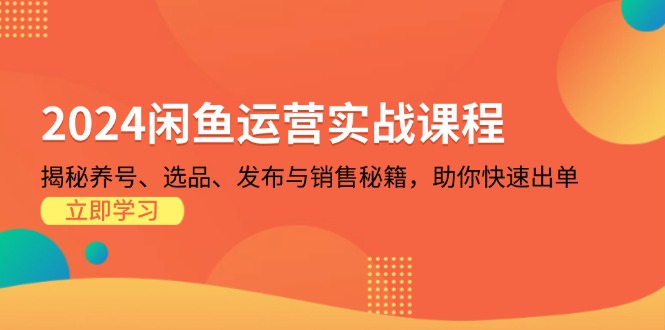 2024闲鱼运营实战课程：揭秘养号、选品、发布与销售秘籍，助你快速出单-菜菜网创