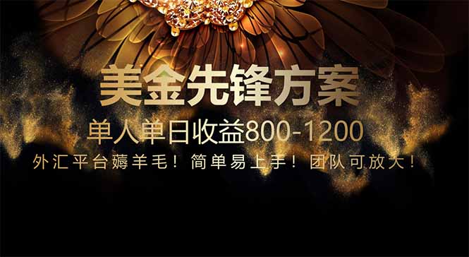 免费技术！小众赛道！一年布局抵三年努力，每日800+-菜菜网创