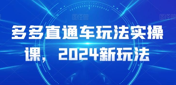 多多直通车玩法实操课，2024新玩法-菜菜网创