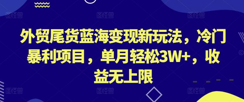 外贸尾货蓝海变现新玩法，冷门暴利项目，单月轻松3W+，收益无上限【揭秘】-菜菜网创