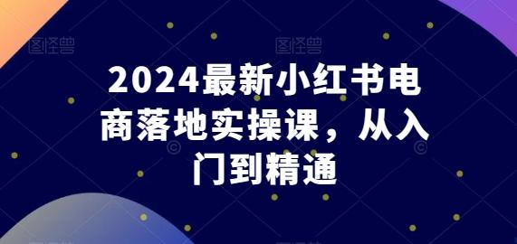 2024最新小红书电商落地实操课，从入门到精通-菜菜网创