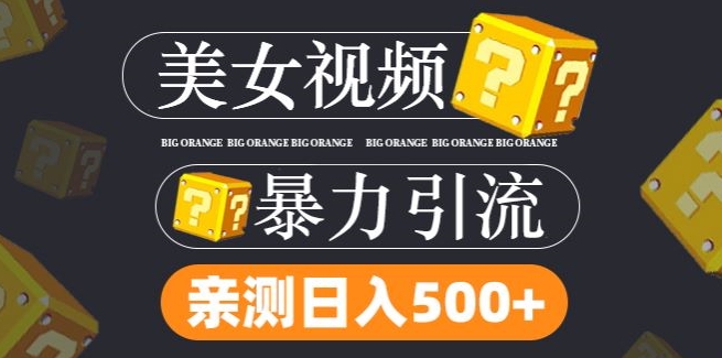 搬运tk美女视频全网分发，日引s粉300+，轻松变现，不限流量不封号【揭秘】-菜菜网创