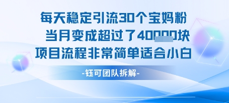 每天稳定引流30个人 当月变成超过了4个W项目流程非常简单适合小白-菜菜网创