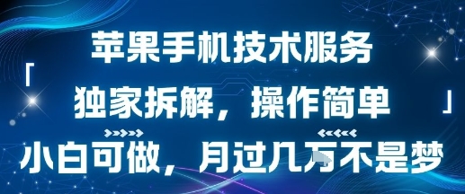 苹果手机技术服务，独家拆解，操作简单，小白可做，月过1W不是梦-菜菜网创
