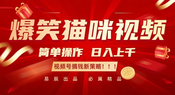 爆笑猫咪视频：简单操作，日入过K，视频号搞钱新策略【揭秘】-菜菜网创