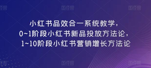 小红书品效合一系统教学，​0~1阶段小红书新品投放方法论，​1~10阶段小红书营销增长方法论-菜菜网创