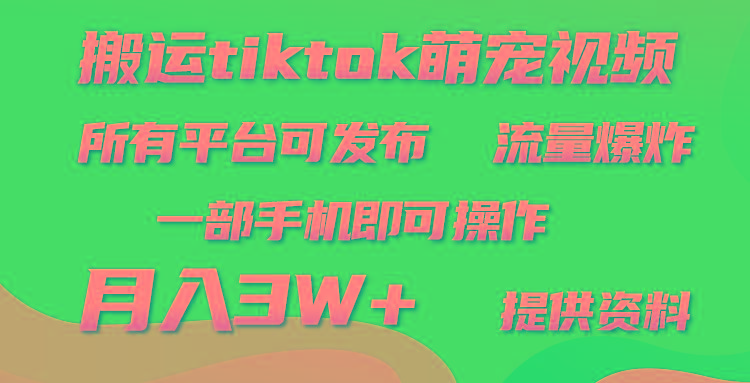 (9618期)搬运Tiktok萌宠类视频，一部手机即可。所有短视频平台均可操作，月入3W+-菜菜网创