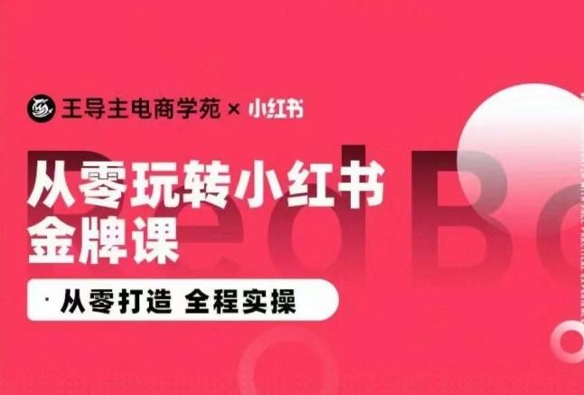 王导主·小红书电商运营实操课，​从零打造  全程实操-菜菜网创