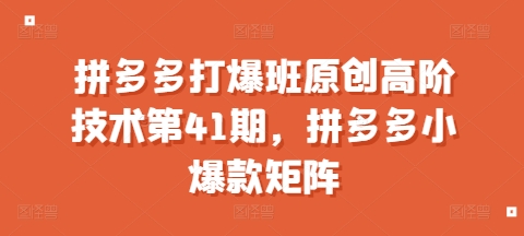 拼多多打爆班原创高阶技术第41期，拼多多小爆款矩阵-菜菜网创