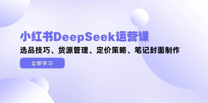 小红书DeepSeek运营课，选品技巧、货源管理、定价策略、笔记封面制作-菜菜网创