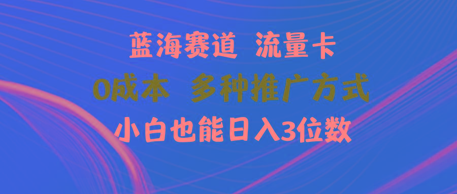 蓝海赛道 流量卡 0成本 小白也能日入三位数-菜菜网创