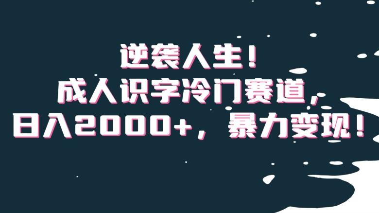 逆袭人生！成人识字冷门赛道，日入2000+，暴力变现！【揭秘】-菜菜网创
