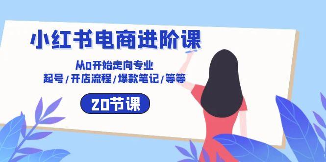 小红书电商进阶课：从0开始走向专业 起号/开店流程/爆款笔记/等等(20节-菜菜网创