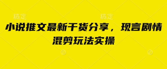 小说推文最新干货分享，现言剧情混剪玩法实操-菜菜网创