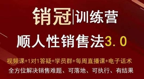 爆款！销冠训练营3.0之顺人性销售法，全方位解决销售难题、可落地、可执行、有结果-菜菜网创