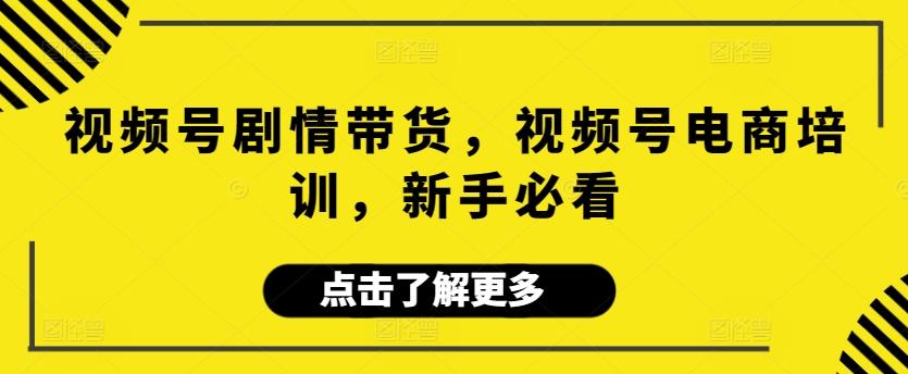 视频号剧情带货，视频号电商培训，新手必看-菜菜网创