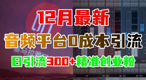 12月最新：音频平台0成本引流，日引流300+精准创业粉-菜菜网创