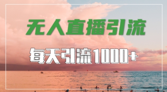抖音快手视频号全平台通用，无人直播引流法，超暴力引流1000+高质量精准创业粉【揭秘】-菜菜网创