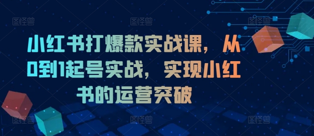 小红书打爆款实战课，从0到1起号实战，实现小红书的运营突破-菜菜网创