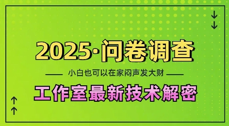 2025问卷调查最新工作室技术解密：一个人在家也可以闷声发大财，小白一天2张，可矩阵放大【揭秘】-菜菜网创