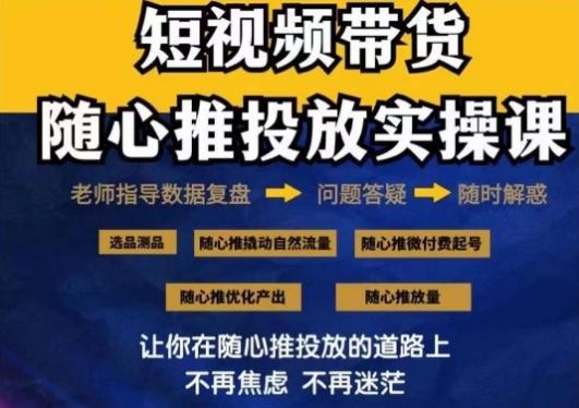 2024好物分享随心推投放实操课，随心推撬动自然流量/微付费起号/优化产出-菜菜网创