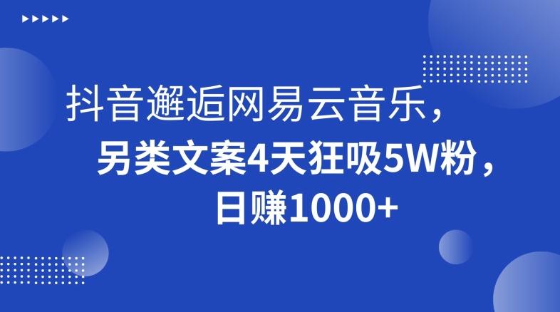 抖音邂逅网易云音乐，另类文案4天狂吸5W粉，日赚1000+【揭秘】-菜菜网创
