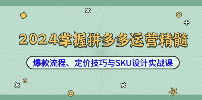 2024掌握拼多多运营精髓：爆款流程、定价技巧与SKU设计实战课-菜菜网创