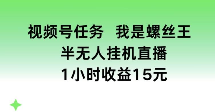 视频号任务，我是螺丝王， 半无人挂机1小时收益15元【揭秘】-菜菜网创