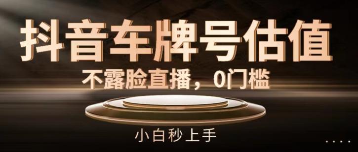 抖音车牌号估值，不露脸直播，0门槛，小白秒上手【揭秘】-菜菜网创