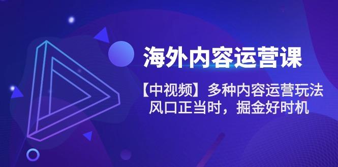 海外内容 运营课【中视频】多种内容运营玩法 风口正当时 掘金好时机-101节-菜菜网创