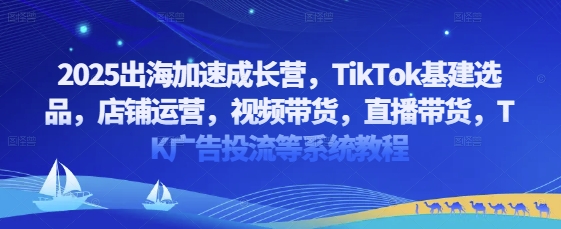 2025出海加速成长营，TikTok基建选品，店铺运营，视频带货，直播带货，TK广告投流等系统教程-菜菜网创