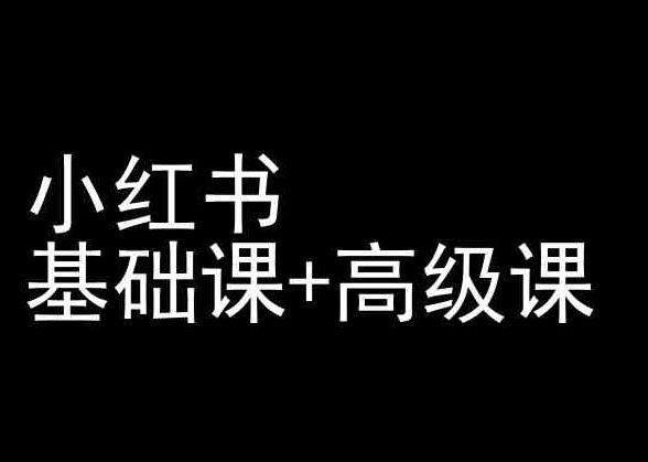 小红书基础课+高级课-小红书运营教程-菜菜网创