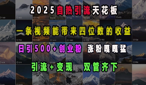 2025自热引流天花板，一条视频能带来四位数的收益，引流+变现双管齐下，日引500+创业粉，涨粉嘎嘎猛-菜菜网创