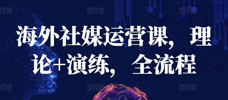 海外社媒运营课，理论+演练，全流程-菜菜网创