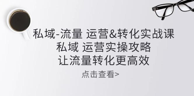 私域-流量 运营&转化实操课：私域 运营实操攻略 让流量转化更高效-菜菜网创