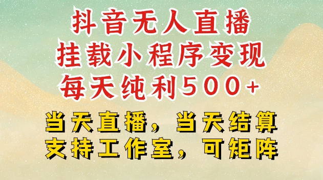 抖音无人直播挂载小程序变现每天纯利500+当天直播，当天结算支持工作室，可矩阵【揭秘】-菜菜网创