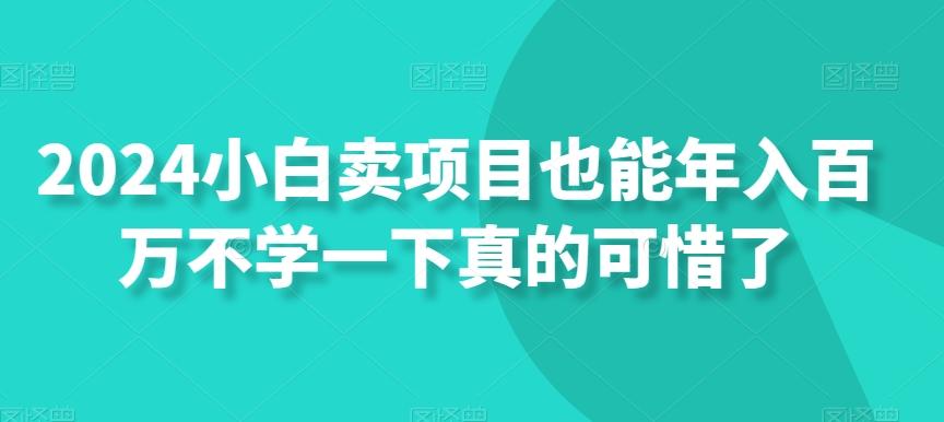 2024小白卖项目也能年入百万不学一下真的可惜了-菜菜网创