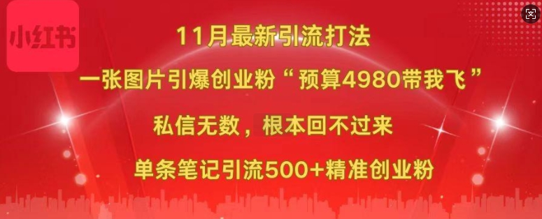 小红书11月最新图片打粉，一张图片引爆创业粉，“预算4980带我飞”，单条引流500+精准创业粉-菜菜网创