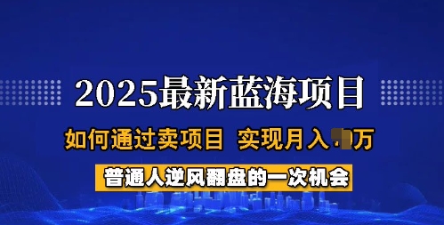 2025蓝海项目，普通人如何通过卖项目，实现月入过W，全过程【揭秘】-菜菜网创