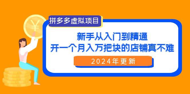 (9744期)拼多多虚拟项目：入门到精通，开一个月入万把块的店铺 真不难(24年更新)-菜菜网创